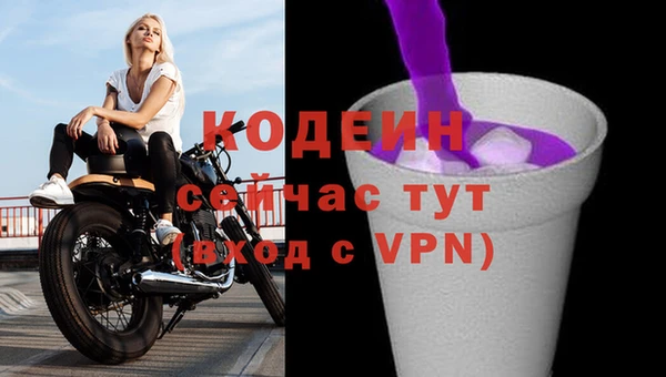 apvp Верея