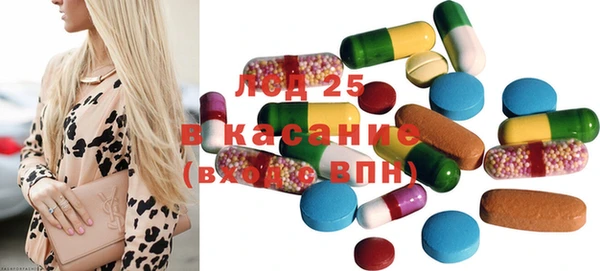 шишки Кодинск