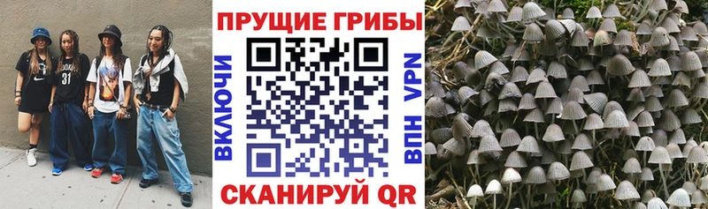 Псилоцибиновые грибы мухоморы  Жуковка 